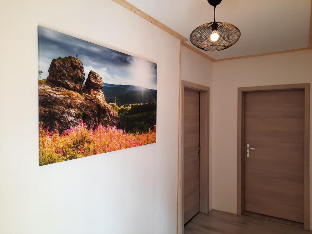 Apartments Und Bistro Zum Glasmacher Gehlberg Extérieur photo